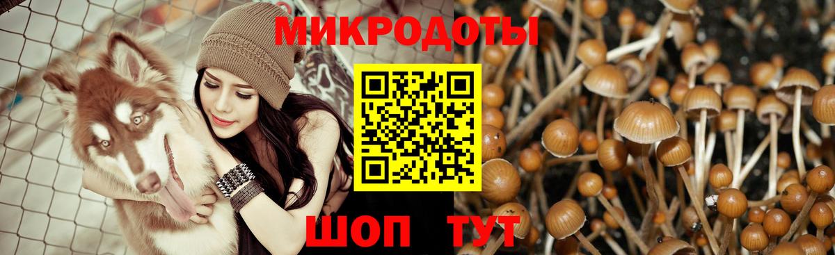 Ипатово  Псилоцибиновые грибы Cubensis  Вход с VPN 